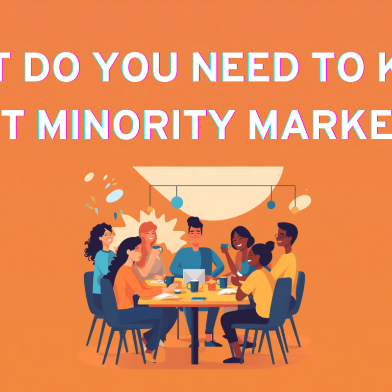 what do you need to know about minority marketing