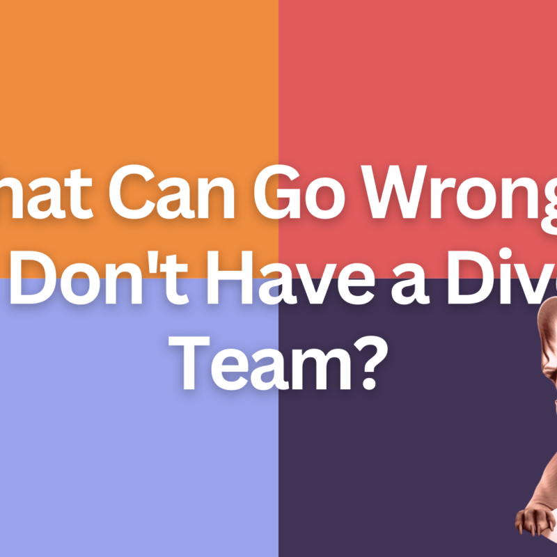 what can go wrong if you don't have a diverse team?
